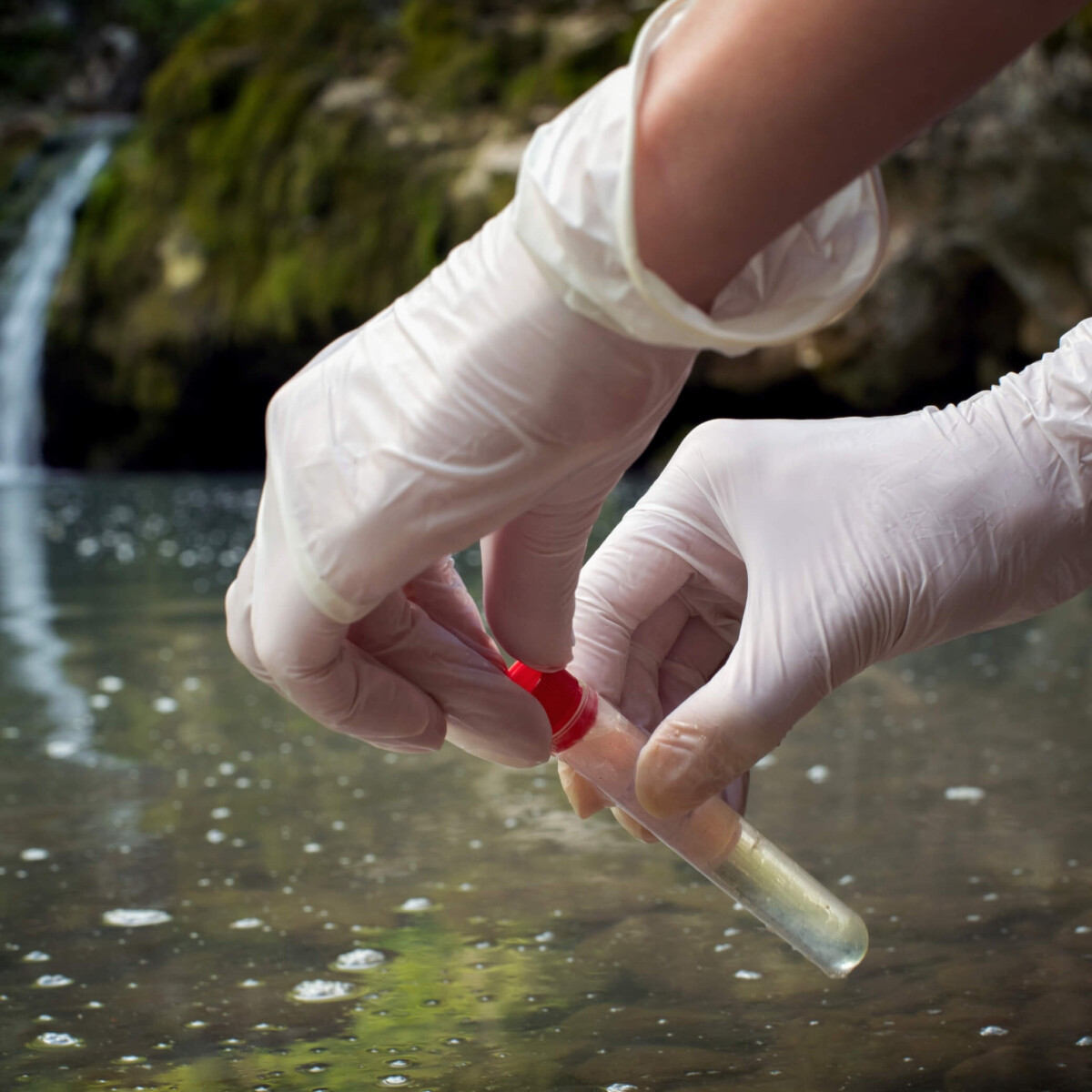 Our Comprehensive FHA Water-Quality Testing Process: For City/municipal tap Our Comprehensive FHA Water-Quality Testing Process: For City/municipal tap