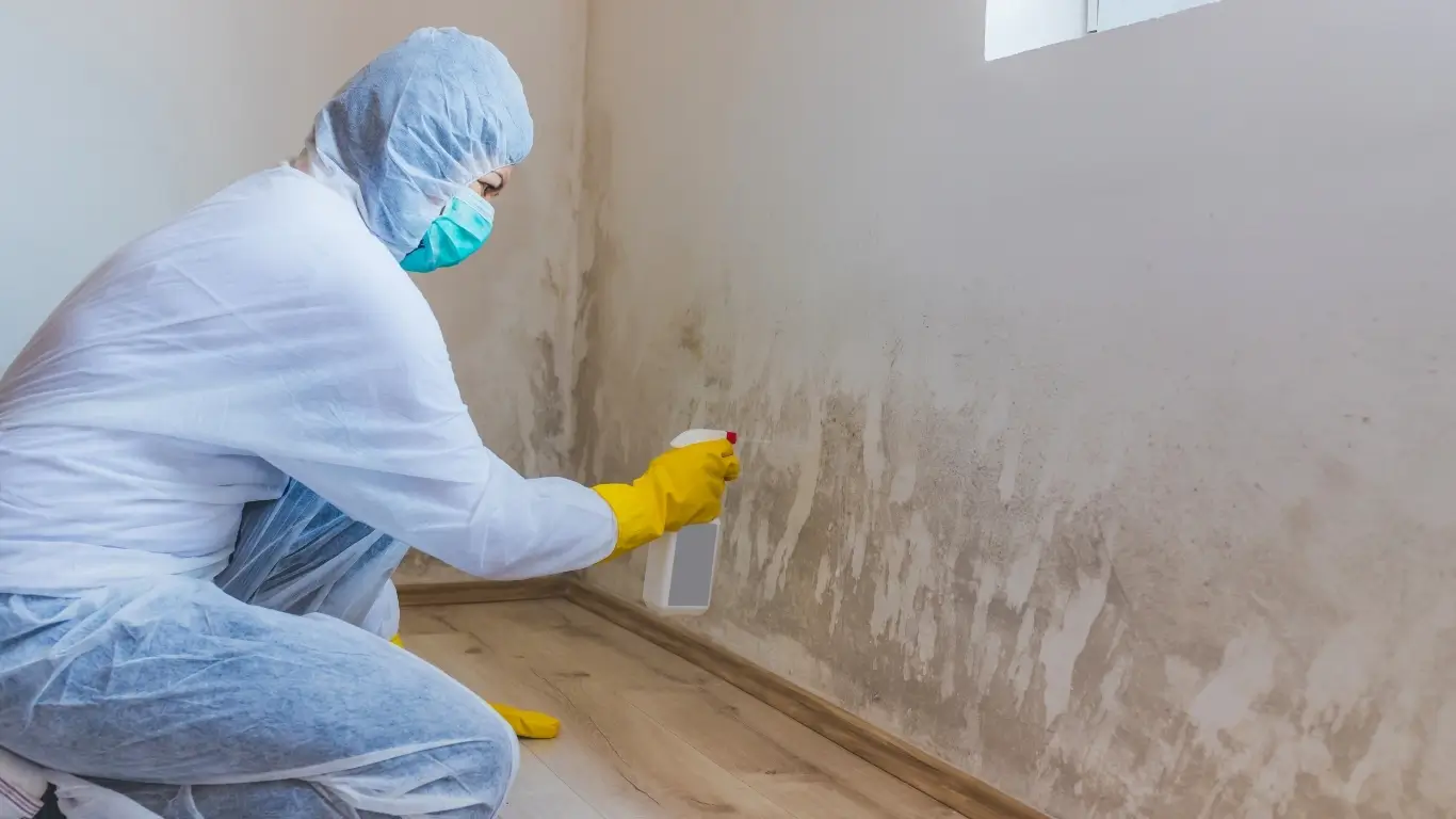Why Choose Flinn Inspection Group for Mold Inspections Why Choose Flinn Inspection Group for Mold Inspections