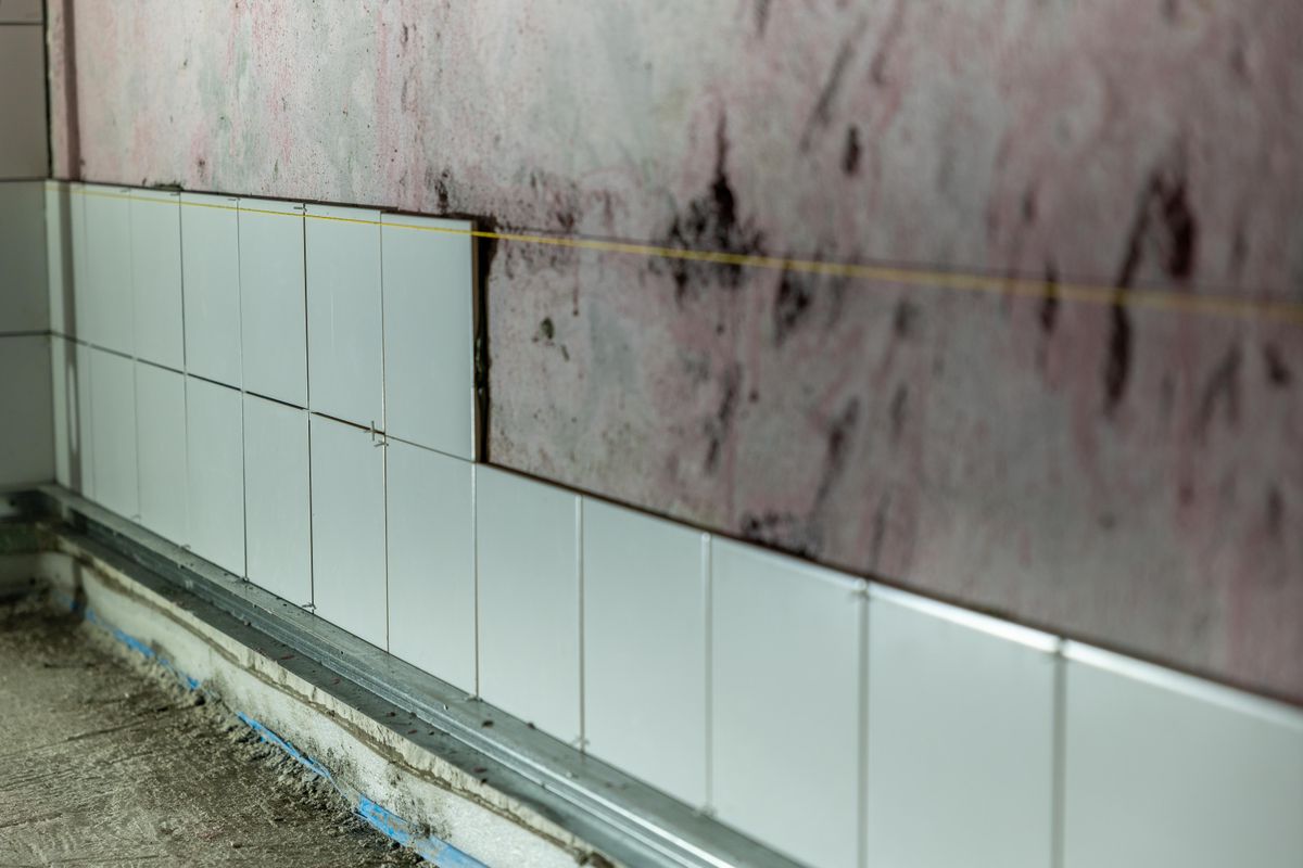 Mold vs Mildew