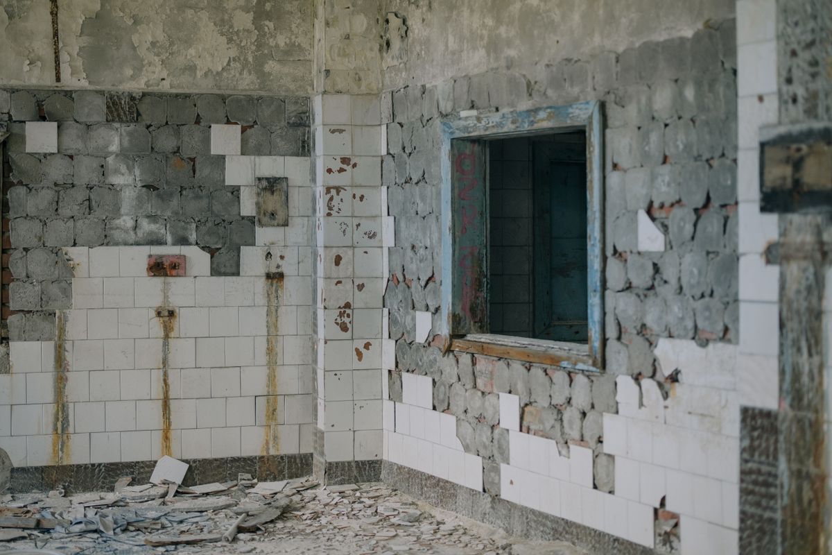 Mold vs Mildew