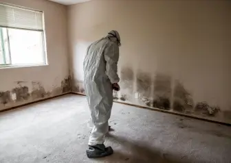 Mold Inspection & Testing