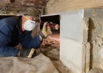 Termite & WDI Inspection Termite & WDI Inspection